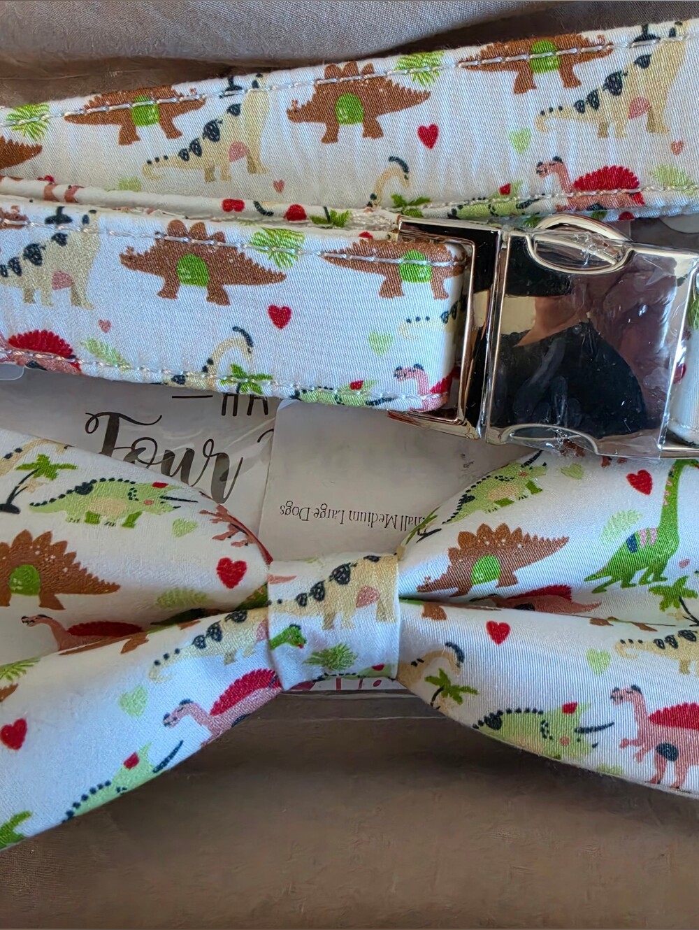 NWT   NestTimes Dinosaur Dog Bow Tie and Collar Set Size L